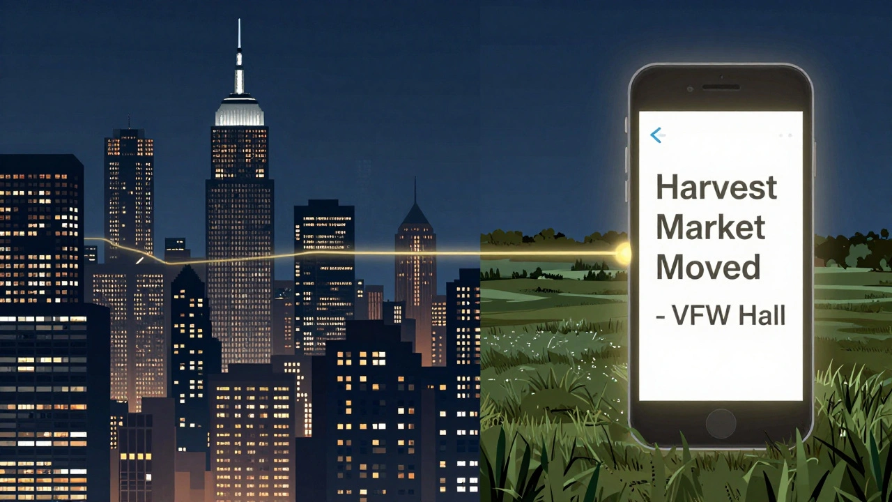 Split image contrasting dense urban Telegram news feeds with a single rural community alert, connected by a symbolic thread.